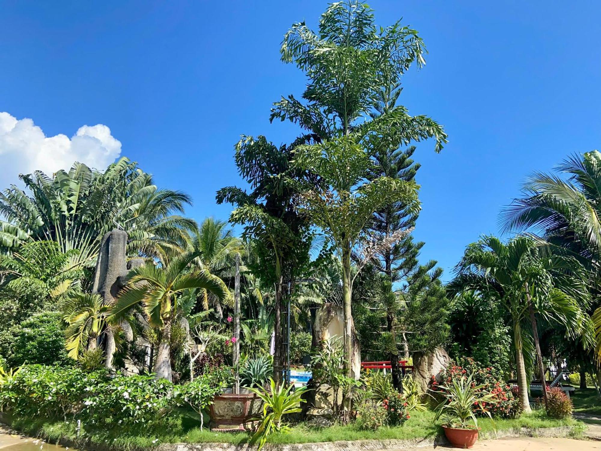 Y Nghia Bungalow Ong Lang Phu Quoc Esterno foto