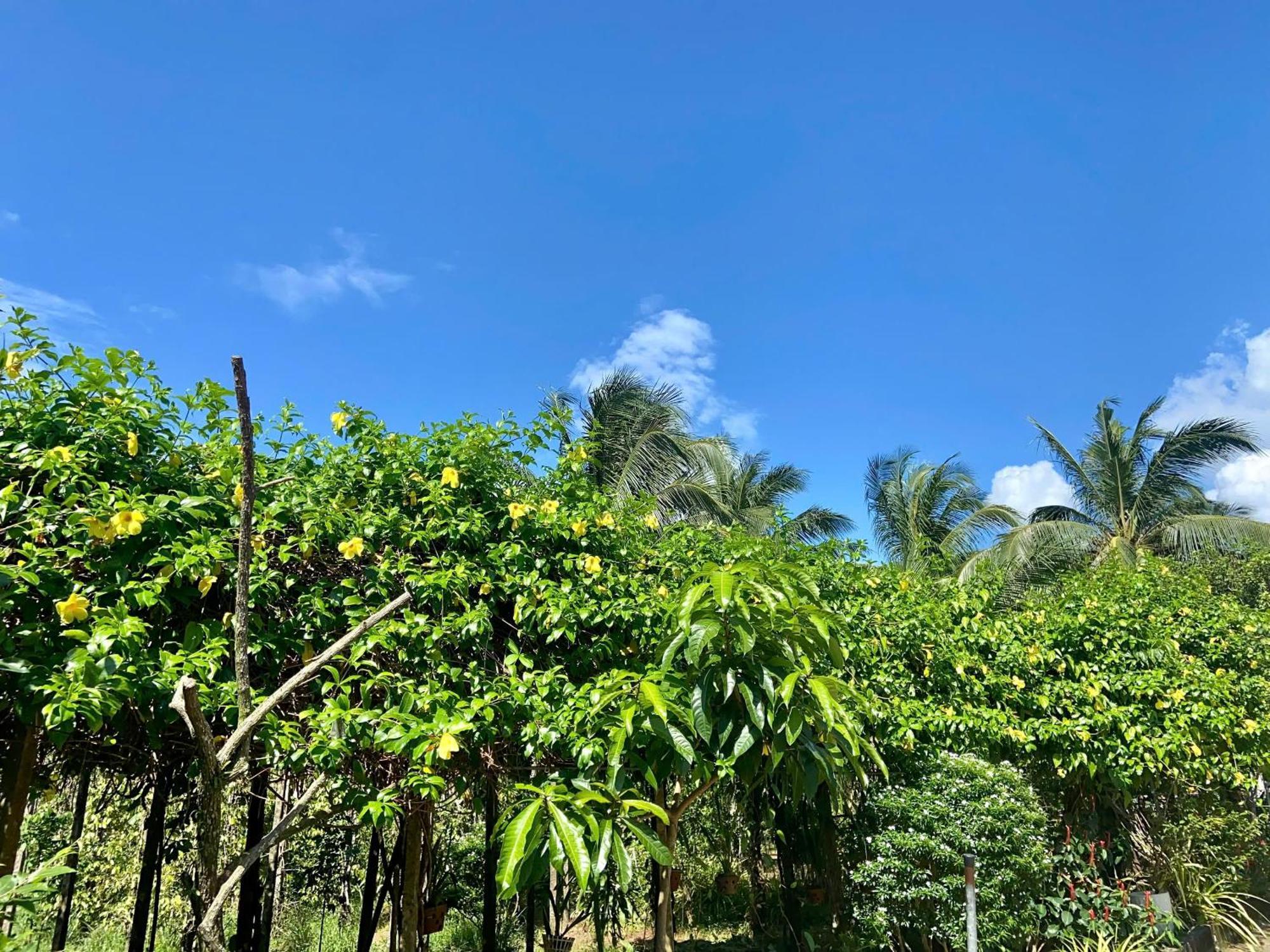 Y Nghia Bungalow Ong Lang Phu Quoc Esterno foto